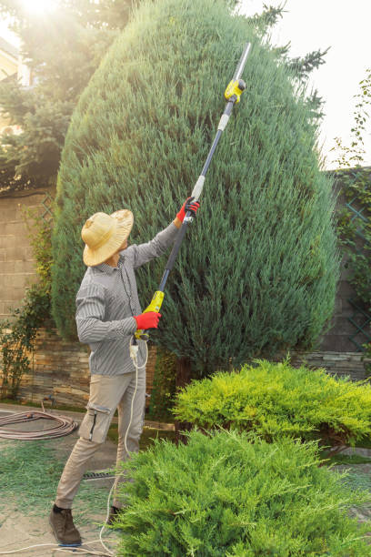 Lawn Watering Services in Buda, TX
